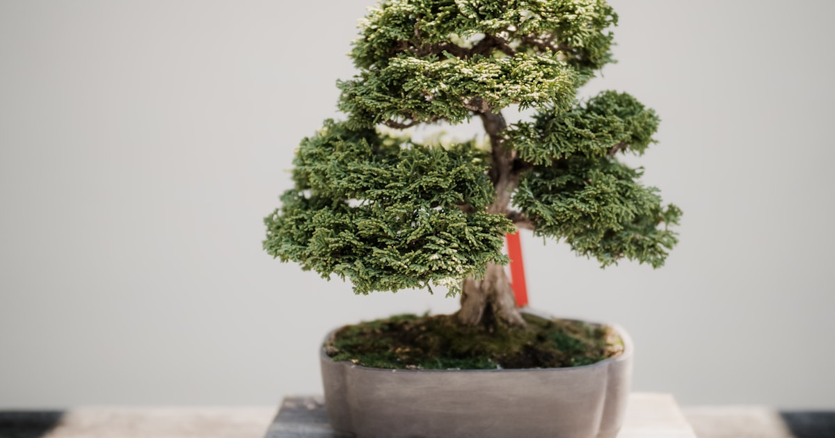 โรคยางพาราและการป้องกัน — 7 โรคร้ายที่ต้องรู้ 2026